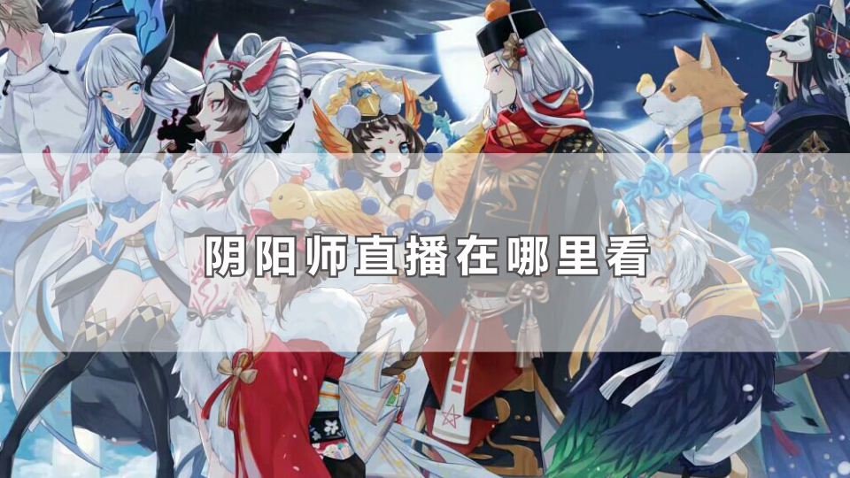 阴阳师直播在哪里看