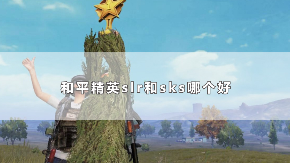 和平精英slr和sks哪个好