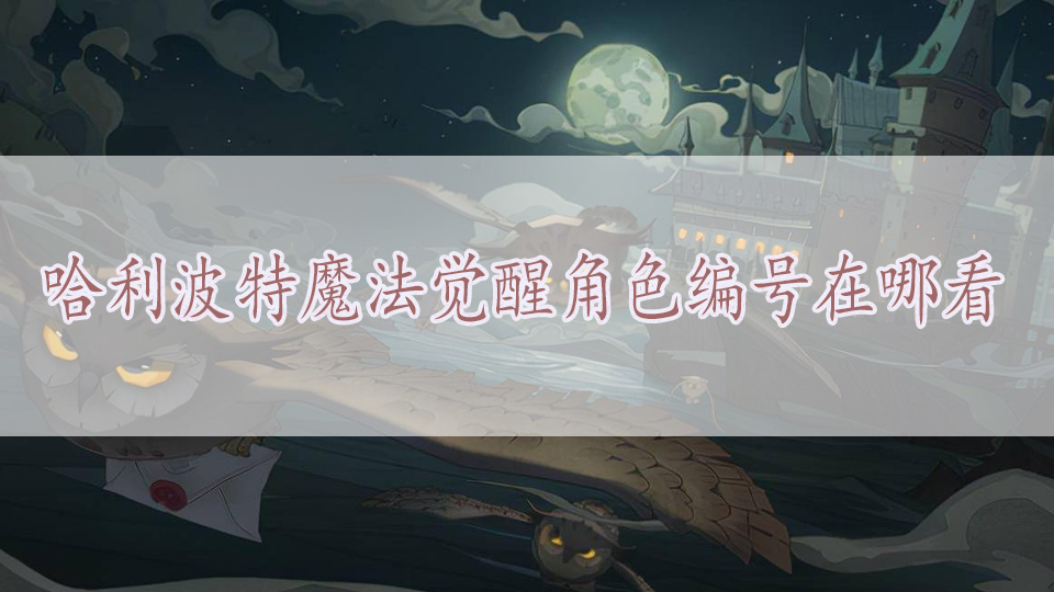 哈利波特魔法觉醒角色编号在哪看