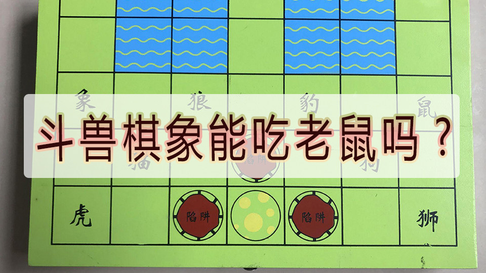 斗兽棋象能吃老鼠吗?