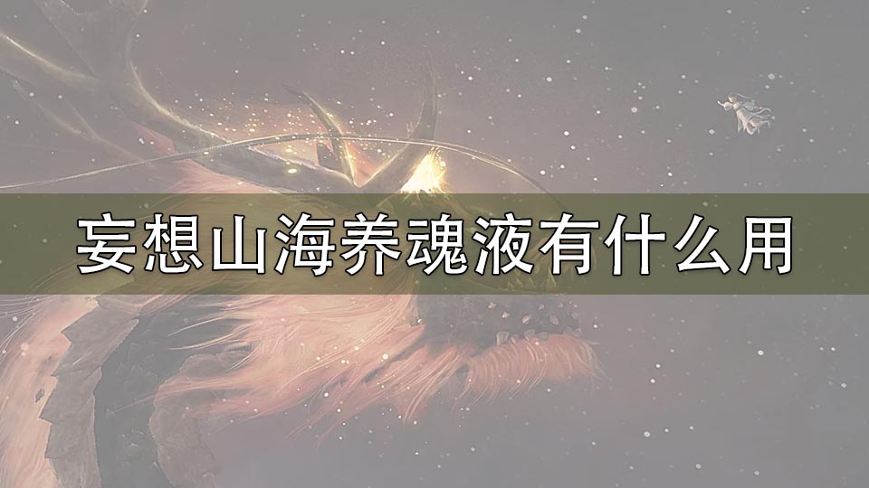 妄想山海养魂液有什么用