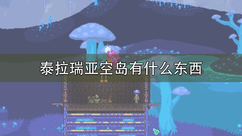 泰拉瑞亚空岛有什么东西