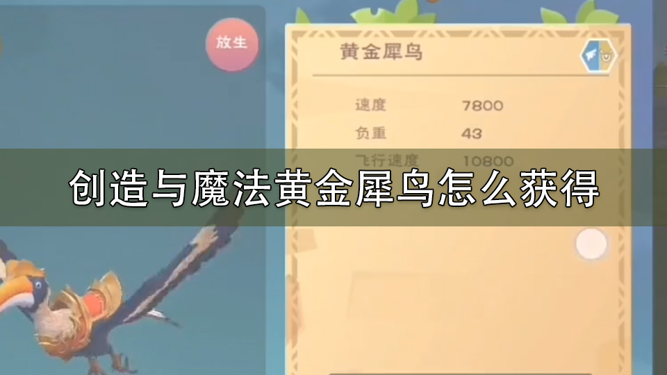 创造与魔法黄金犀鸟怎么获得