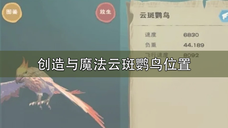 创造与魔法云斑鹦鸟位置