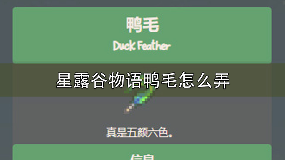 星露谷物语鸭毛怎么弄