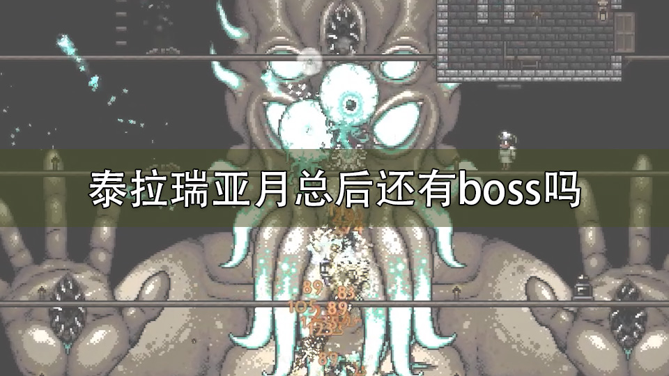 泰拉瑞亚月总后还有boss吗